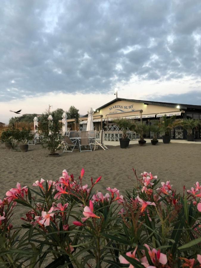 מלון Năvodari Marina Surf מראה חיצוני תמונה